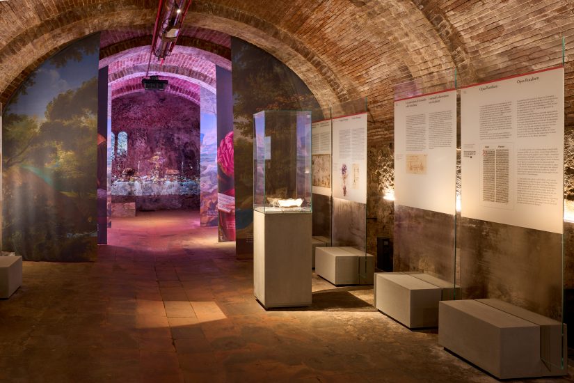 “Leonardo Wine Genius”, lo spazio interattivo dedicato al Genio di Vinci