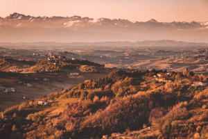 Tra storia e cultura, il vino come riscatto del mondo contadino tra Langhe, Roero e Monferrato Tra storia e cultura, il vino come riscatto del mondo contadino tra Langhe, Roero e Monferrato