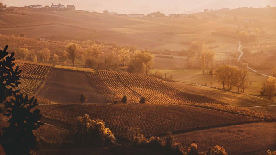 I paesaggi vitati del Nizza Docg