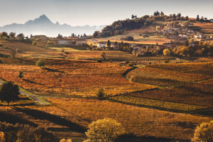 Governare i territori del vino, tra politiche di tutela e valorizzazione: questione di urbanistica Governare i territori del vino, tra politiche di tutela e valorizzazione: questione di urbanistica
