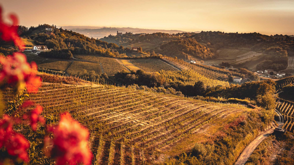 I paesaggi vitati del Nizza Docg