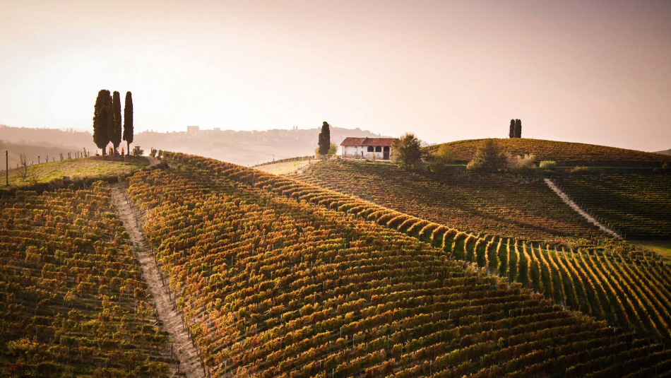 I paesaggi vitati del Nizza Docg