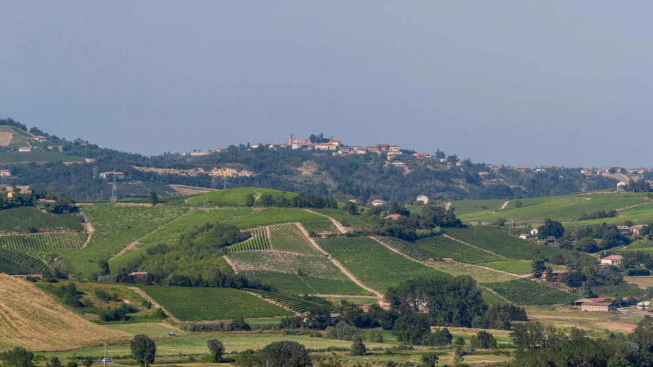 I paesaggi vitati del Nizza Docg