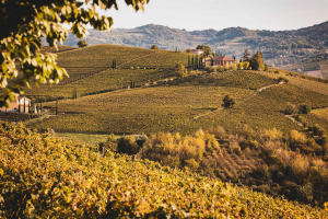 A Torino per i 90 anni del Consorzio dell’Asti e i 20 anni dei Produttori del Nizza Docg: gli eventi