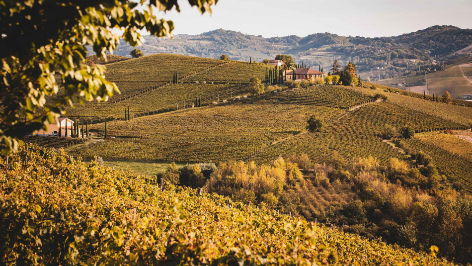 L’Associazione Produttori del Nizza Docg celebra 20 anni a Torino