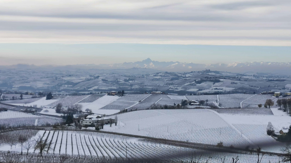 I paesaggi vitati del Nizza Docg