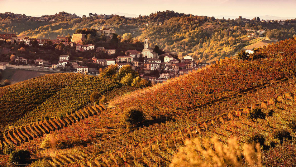 I paesaggi vitati del Nizza Docg