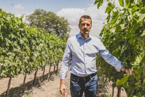 Pierangelo Tommasi (Tommasi Family Estates) a capo delle Famiglie Storiche