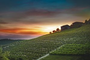 Réva, nel cuore delle Langhe un sogno diventato realtà tra vino, alta ristorazione ed ospitalità