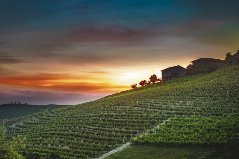 Réva, il progetto in Langa di Miroslav Lekes