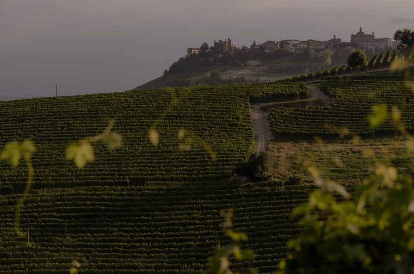 Réva, il progetto in Langa di Miroslav Lekes