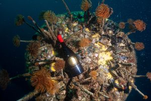 Gli Etna di Benanti e Passopisciaro in fondo al mare per capire come evolve il vino sott’acqua Gli Etna di Benanti e Passopisciaro in fondo al mare per capire come evolve il vino sott’acqua