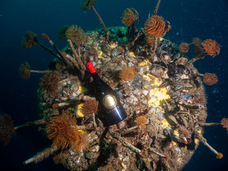 Benanti e Passopisciaro che hanno inabissato l’Etna Doc nel mare di Sicilia 