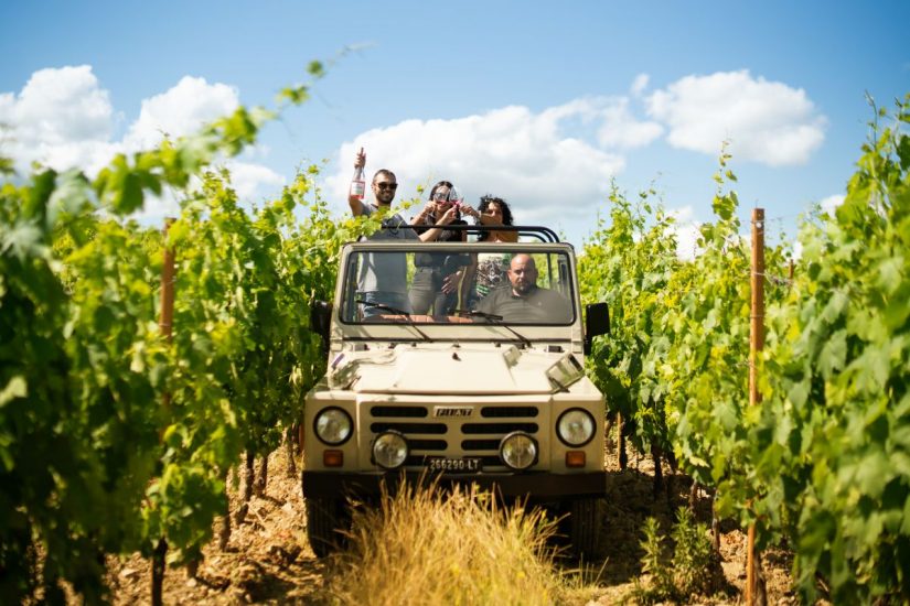 “Wine Safari Experience” tra i vigneti di Vallepicciola 