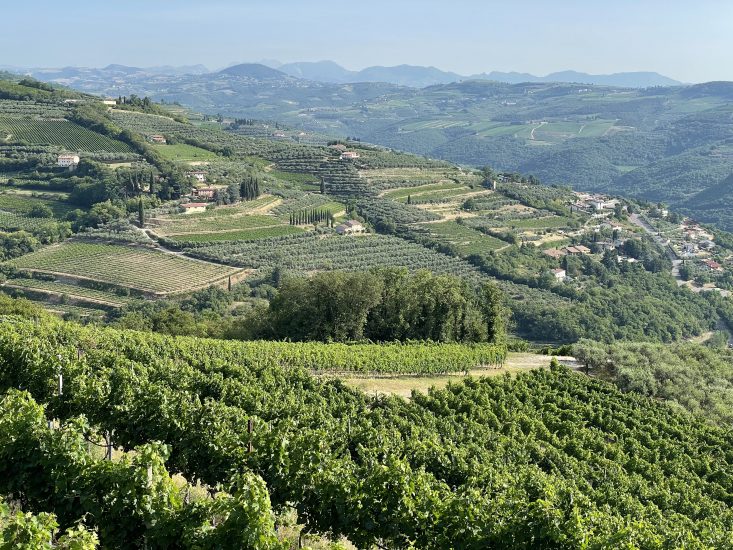 La Valpolicella vista da Tenuta Sant’Antonio, una delle 13 Famiglie Storiche