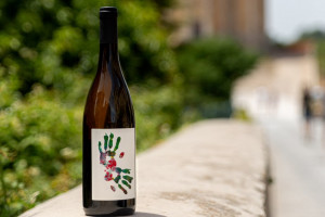 Velenosi per “L’Orto di Paolo” con i vini che “racchiudono” in bottiglia solidarietà e soddisfazione