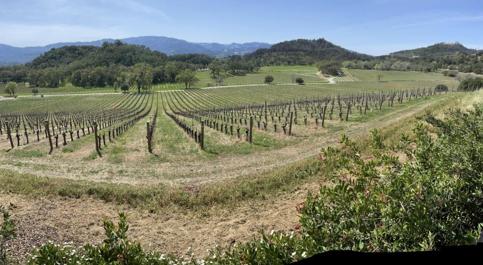 Lvmh investe in California: acquisita Joseph Phelps Vineyard