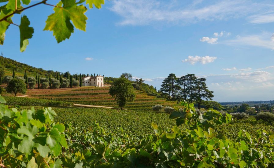 “Rete Valpantena”, tra vino, agricoltura e ristorazione