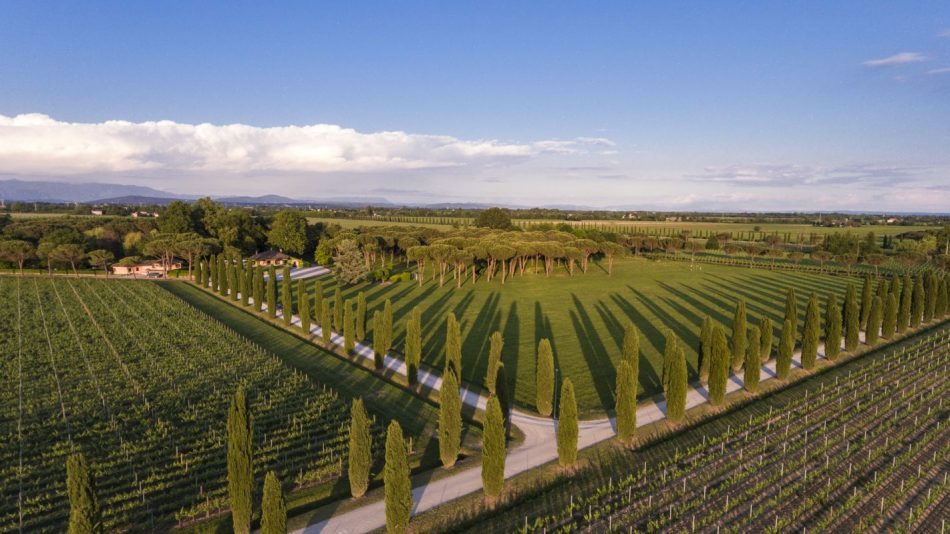 “#MySummerMomentsWithZonin1821” e “Enovitis” a Ca’ Bolani 