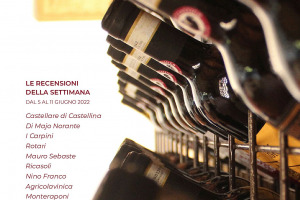 I Vini di WineNews - N. 209