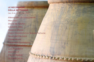 I Vini di WineNews - N. 211