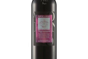 Apollonio, Salento Igp Negroamaro Terragnolo 2017