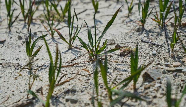 Agricoltura Ue, il Copa-Cogeca chiede misure urgenti contro la crisi climatica