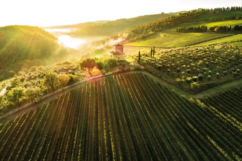 “Al Cinema con Gusto” al Castello di Albola in Chianti Classico