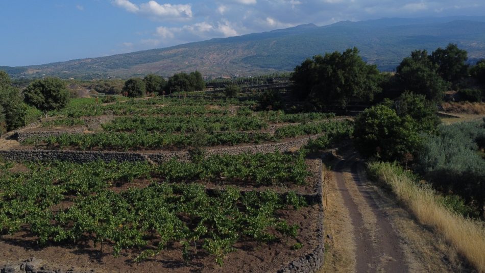 I vigneti di Cottanera