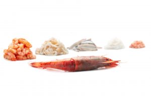 Don Gambero, Gambero Rosso di Mazara del Vallo