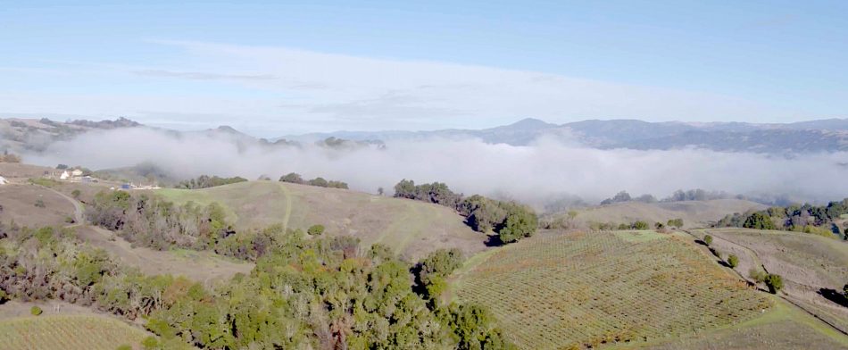 “Eastbound Westbound”, un film tra Usa e Bordeaux