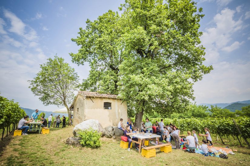 Torna a settembre il “Festival Franciacorta in Cantina”, appuntamento cult del vino italiano