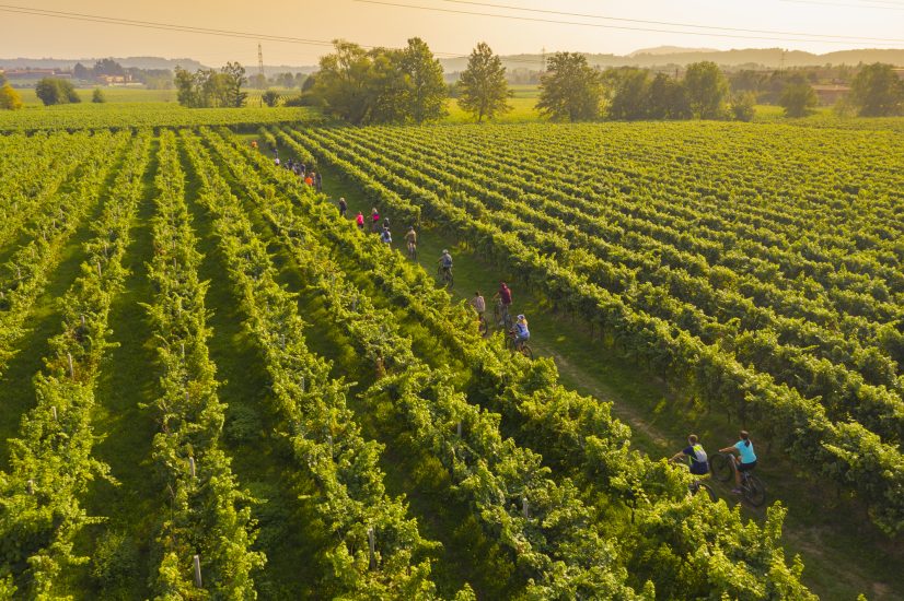 Torna a settembre il “Festival Franciacorta in Cantina”, appuntamento cult del vino italiano