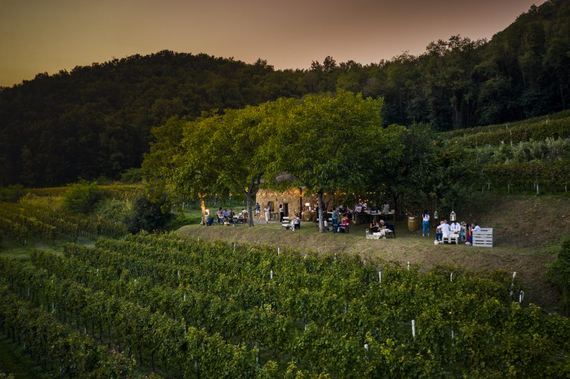 Torna a settembre il “Festival Franciacorta in Cantina”, appuntamento cult del vino italiano