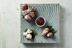 Renzo Piano e Carlo Petrini: i nostri mestieri si assomigliano nell’aver a che fare con la bellezza