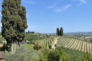 Tra storia e cultura, il Nizza, la perla vinicola del Monferrato, costruisce il proprio futuro