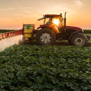 Controlli sui pesticidi, l&rsquo;Europa verso un allentamento, Greenpeace, Lipu e Wwf Italia contrari