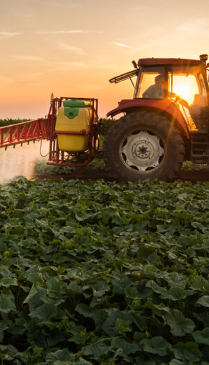 Controlli sui pesticidi, l&rsquo;Europa verso un allentamento, Greenpeace, Lipu e Wwf Italia contrari