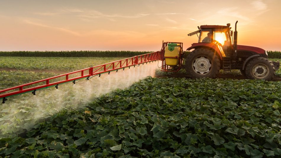 Glifosato, Slow Food chiede lo stop all’utilizzo