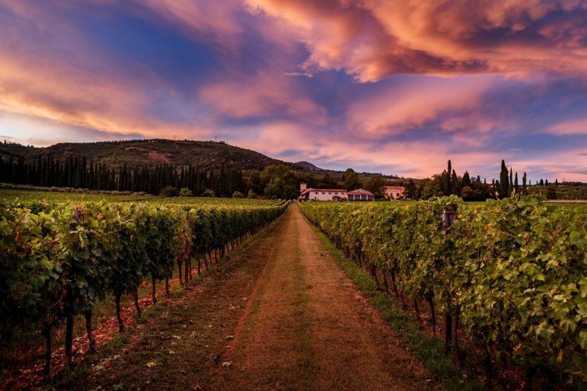 “Cena sotto le stelle” alle Possessioni Serego Alighieri 