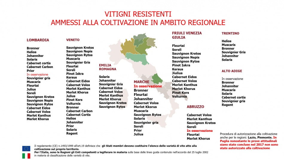 Vino italiano, il quadro da “VinoVip Cortina” 2022