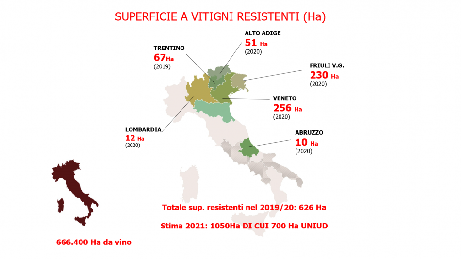 Vino italiano, il quadro da “VinoVip Cortina” 2022