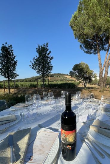 Tua Rita, 25 vendemmie tra arte in bottiglia e in etichetta