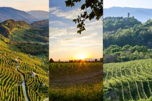 “Sistema” Prosecco, locomotiva del vino italiano, in cerca di una nuova sinergia tra denominazioni