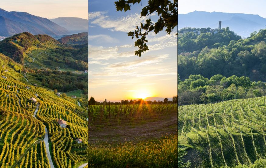 ASOLO DOCG, CONEGLIANO VALDOBBIADENE DOCG, CRESCITA, NUMERI, PROSECCO, PROSECCO DOC, SISTEMA PROSECCO, Su i Quaderni di WineNews