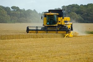 Grano ucraino, dopo l&rsquo;incontro Draghi-Erdogan, si va verso lo sblocco di corridoi nel Mar Nero