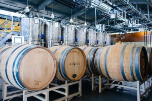 UC Davis, 4 milioni di euro da un filantropo anonimo per finanziare la viticoltura di domani