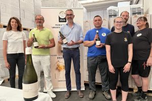 “UVA”, la bollicina de la Delizia realmente sostenibile, dalla vigna all’etichetta