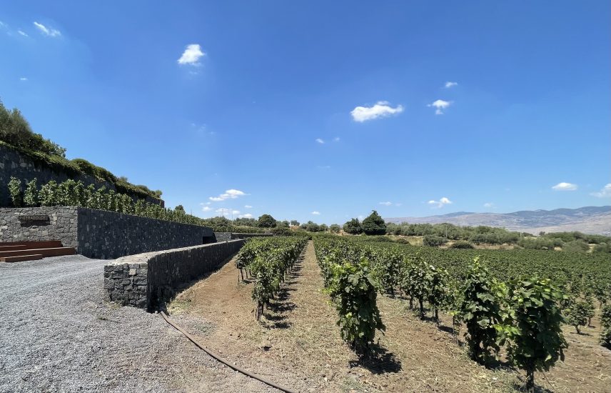 I vigneti di Pietradolce