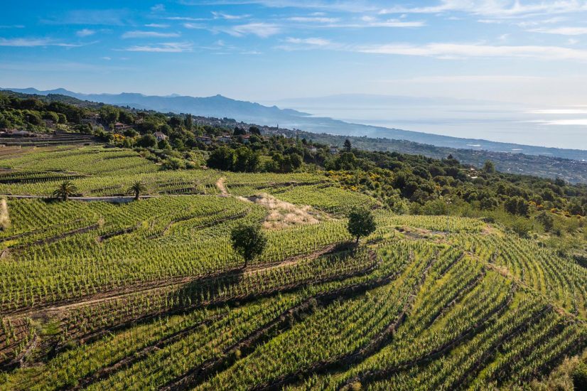 I vigneti terrazzati di Maugeri